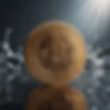Ripple cryptocurrency logo against a digital backdrop