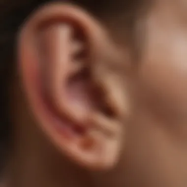 Anatomical structures of the ear and their role in sound reception