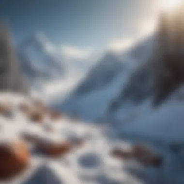 Competitive landscape surrounding Avalanche Brands