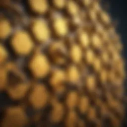 Hexagonal Hive Pattern Representing Bee Crypto Coin Technology