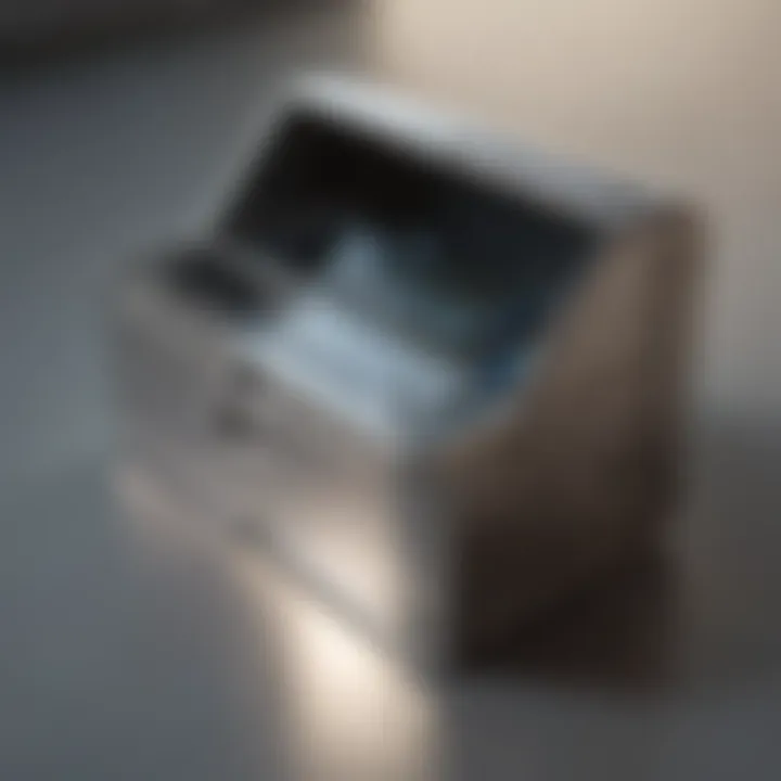 Biometric Access Wallet