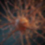 Intricate Network of Celsius Reward Rates An abstract representation of a network of interconnected nodes symbolizing the complexity of Celsius reward rates