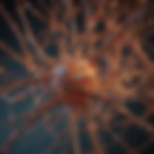 Intricate Network of Celsius Reward Rates An abstract representation of a network of interconnected nodes symbolizing the complexity of Celsius reward rates