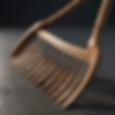 Exquisite Oak Wood Rake A rake made of premium oak wood with intricate carvings