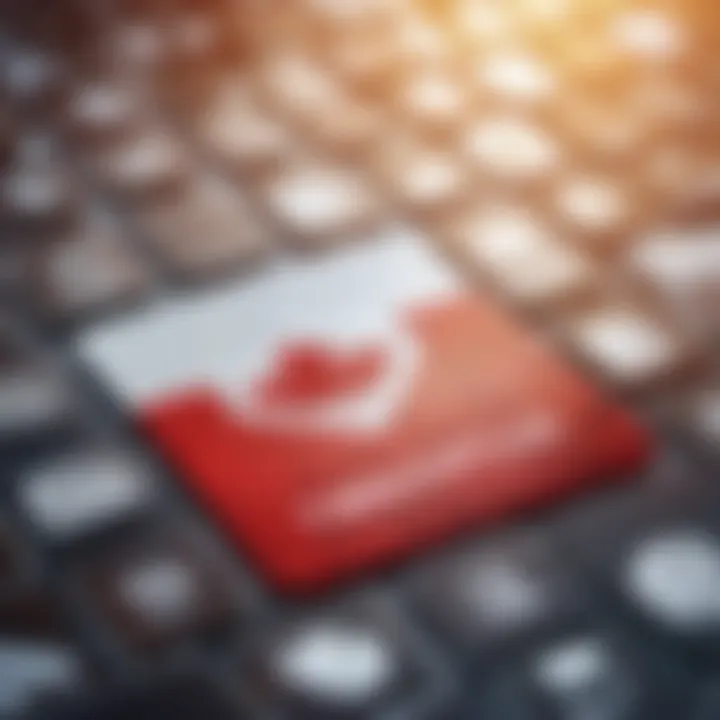 Digital Marketplace with Canadian Flag