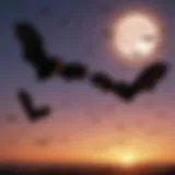 Silhouette of bats flying against a twilight sky