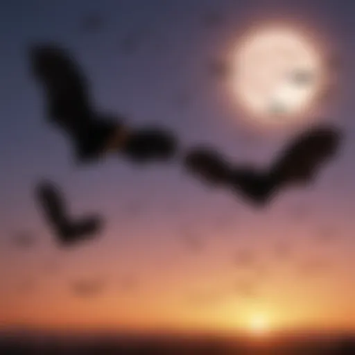 Silhouette of bats flying against a twilight sky