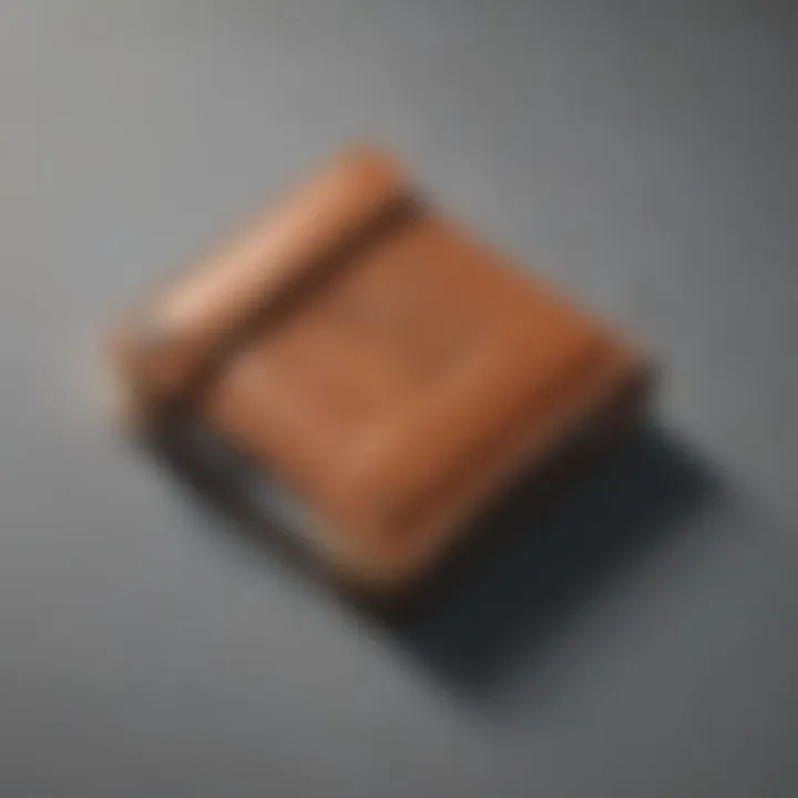 Minimalist Elegance Wallet Branding