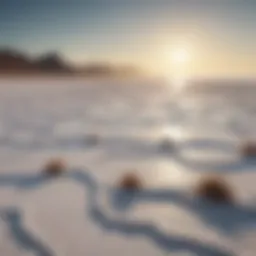 A vibrant sea salt landscape showcasing natural salt flats and the ocean.