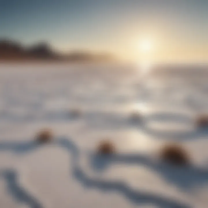 A vibrant sea salt landscape showcasing natural salt flats and the ocean.