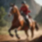 Equestrian Excellence