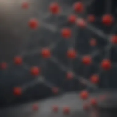 Polkadot network architecture showcasing parachains and relay chains