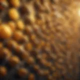 Illustration depicting intricate patterns of Bee Network crypto price movements