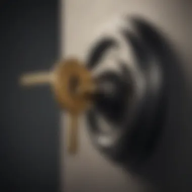 Key to Secure Decentralized Access Conceptual illustration of a key unlocking secure access to decentralized private network architecture