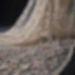 Elegant lace veil with intricate embroidery