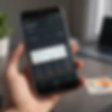 Illustration of Payeer USD Wallet Interface