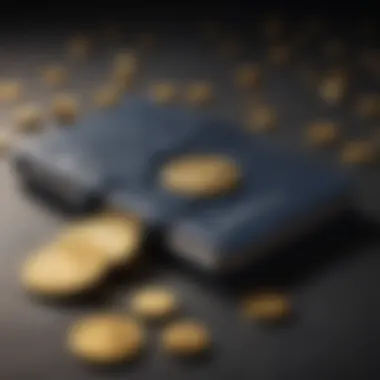 Security features of cryptocurrency wallets