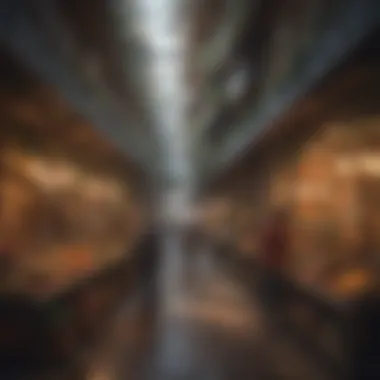 Future prospects of OpenBazaar