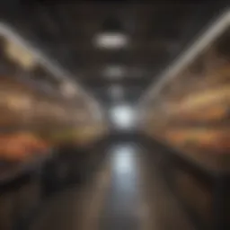 Innovative technology powering OpenBazaar