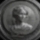 Exquisite Engraving on Vintage Schilling Coin