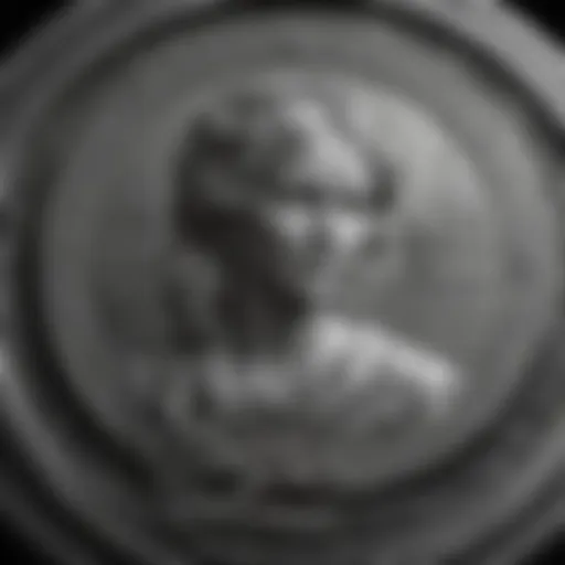 Exquisite Engraving on Vintage Schilling Coin