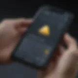 Gemini Wallet User Interface User interface of the Gemini Wallet showcasing its clean design