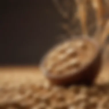 Unveiling Insights into the Soy Market Dynamics Global Soy Market Trends Analysis