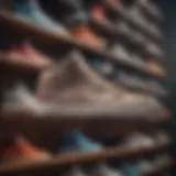 Sneaker collection displayed stylishly