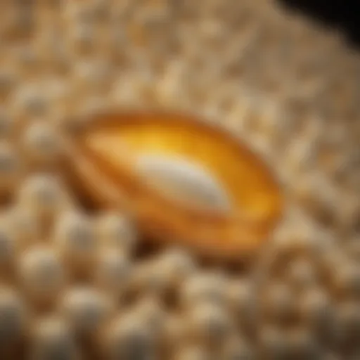 Golden Kernel - A Symbol of Prosperous Investment Golden Kernel - A Symbol of Prosperous Investment