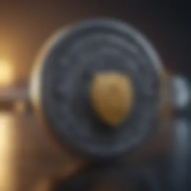 Enhanced Security Measures for Virtual Credit Cards Virtual credit card security shield