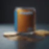 PayPal API Interface Overview