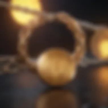 Bridging Blockchains for Global Financial Connectivity Interconnected Blockchain Networks