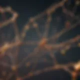 Illustration depicting the intricate web of connections in the NFT ecosystem