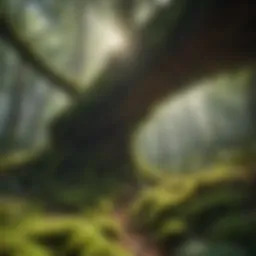 Mossy Canopy