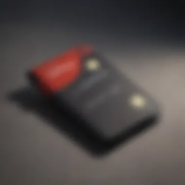 Intuitive Design of LastPass Wallet Interface Illustration showcasing LastPass Wallet user-friendly interface