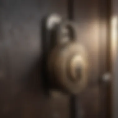 Lock Securing Insurance Policy Folder