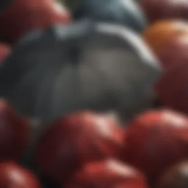 Luxurious Umbrella Materials Showcase