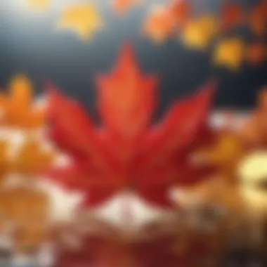 Canadian Maple Leaf Symbolizing Online Transactions