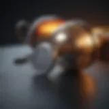 Unlocking Essential Vocabulary in Polish Language Learning Polish Language Vocabulary Study