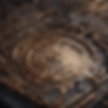 Maze symbolizing exploration and discovery