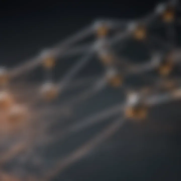 Network Connectivity Representation Network Connectivity Representation