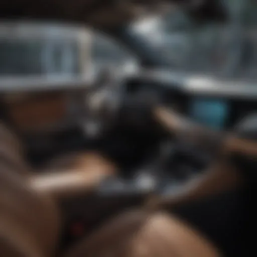 Luxurious Nexa Vehicle Interior