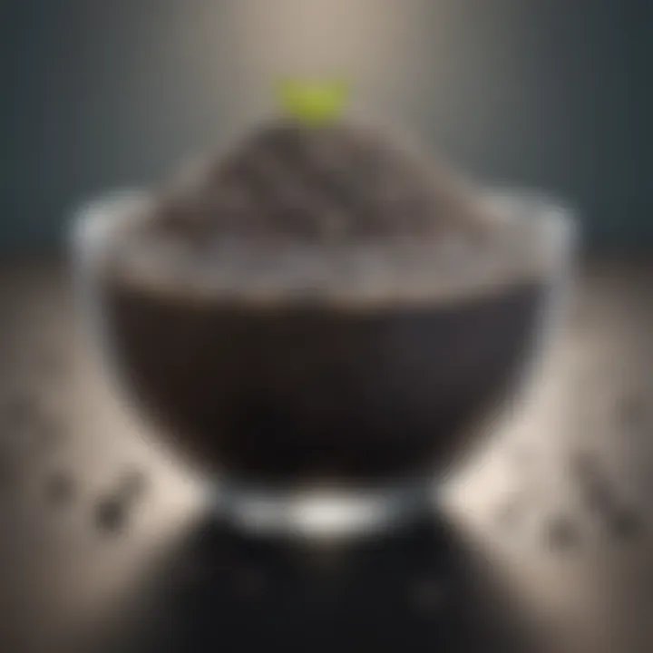 Nutrient-Rich Chia Seeds in Bowl