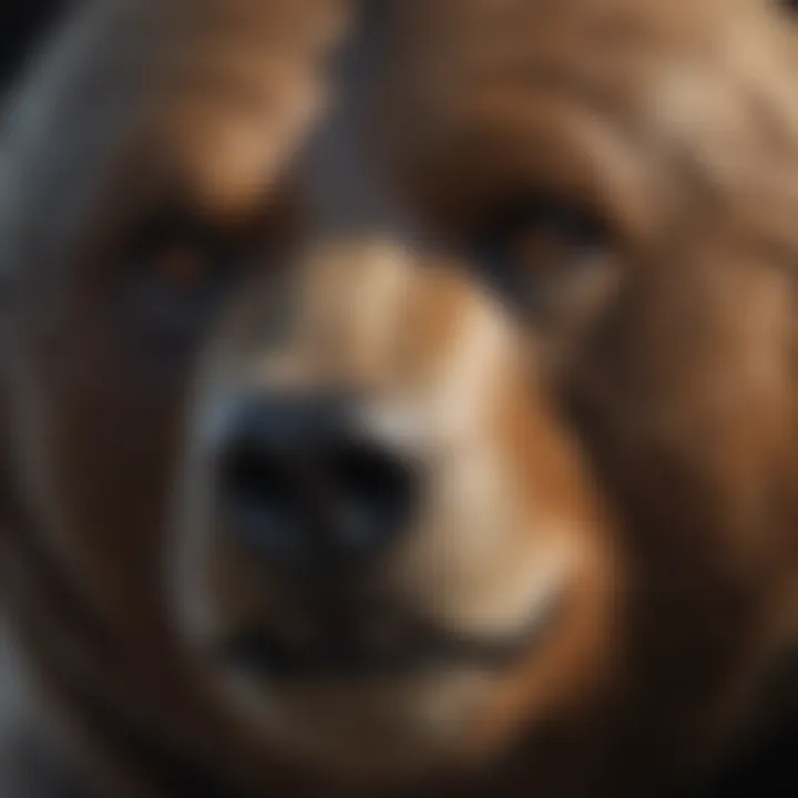 Precise detailing of bear's facial features