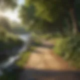 Tranquil Path Along the River Bank Pristine River Bank Trail