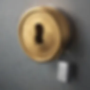 Abstract graphic showing a secure lock protecting euro and dollar coins