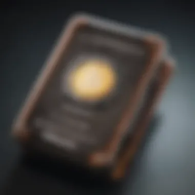 Secure Digital Wallet Icon