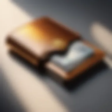 Sleek Vault Wallet Icon