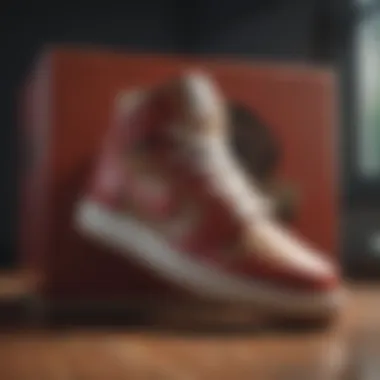 Sneaker Authenticity Verification Process
