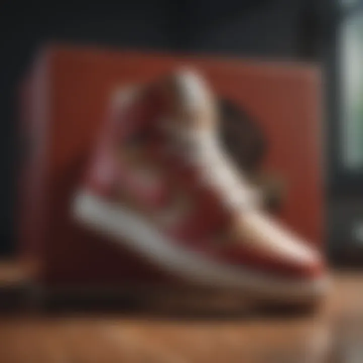 Sneaker Authenticity Verification Process